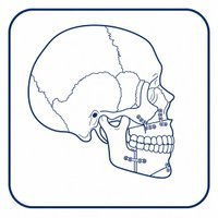 Orthognathic