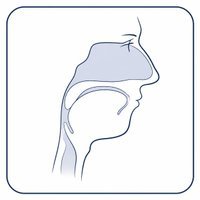 Sleep Apnea
