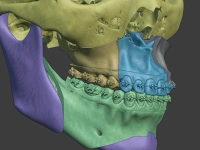 OrtogonBlender
